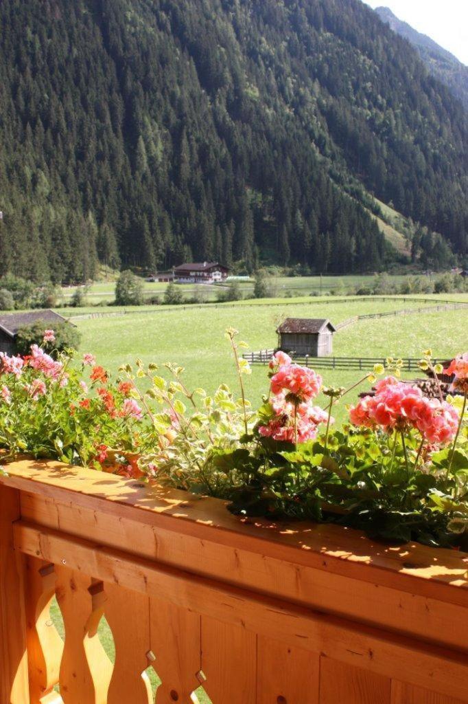 Landhaus Alpensonne Нойштифт-им-Штубайталь Экстерьер фото
